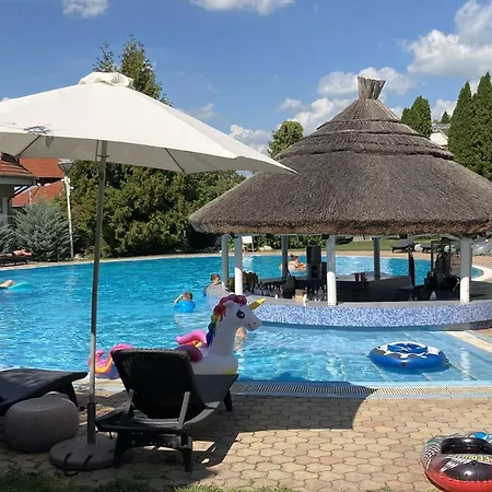 Azur Csiga Siofok